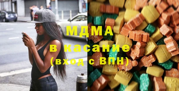 гашик Алексин