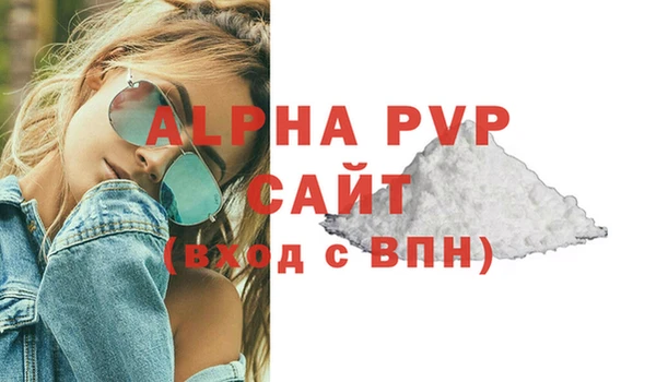гашик Алексин