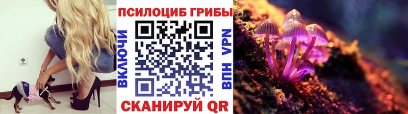 Псилоцибиновые грибы ЛСД  Купить  Тара 